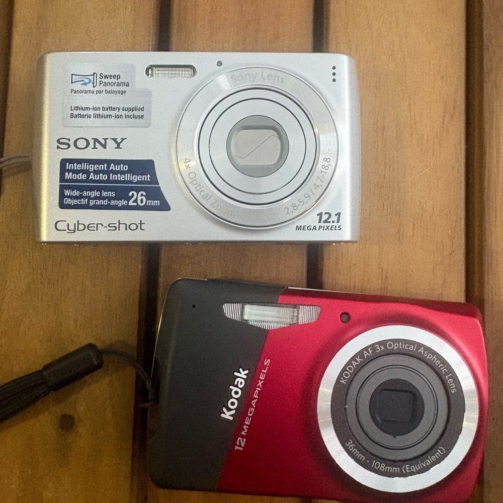 Kodak & Sony Cyber-shot Silver Digital Camera with 12.1 MP